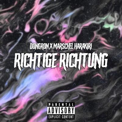 Richtige Richtung (feat. marschel harakiri) - Single