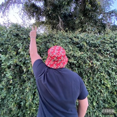 What's the Word - Single