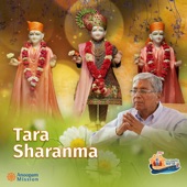 Tara Sharanma (feat. Rahul Patel) artwork