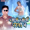 Bhigi Bhigi Raato Me - Single