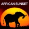 African Sunset artwork