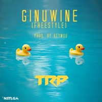 Ginuwine (Freestyle) - Single - TRP Don Gy
