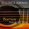 Prelude in C Minor - Maurice Arenas lyrics