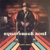 Squareneck Soul