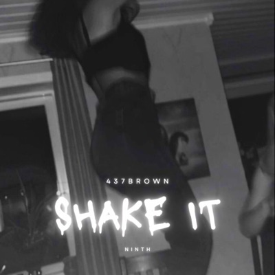 Shake It (feat. Ninth) - Single