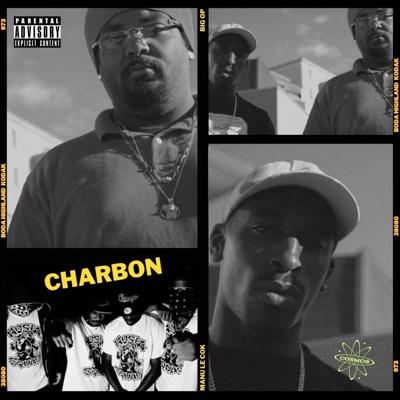 Charbon (feat. Manu Le Cok) - Single