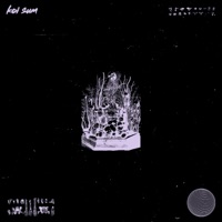 Wot - Single - koi.sum