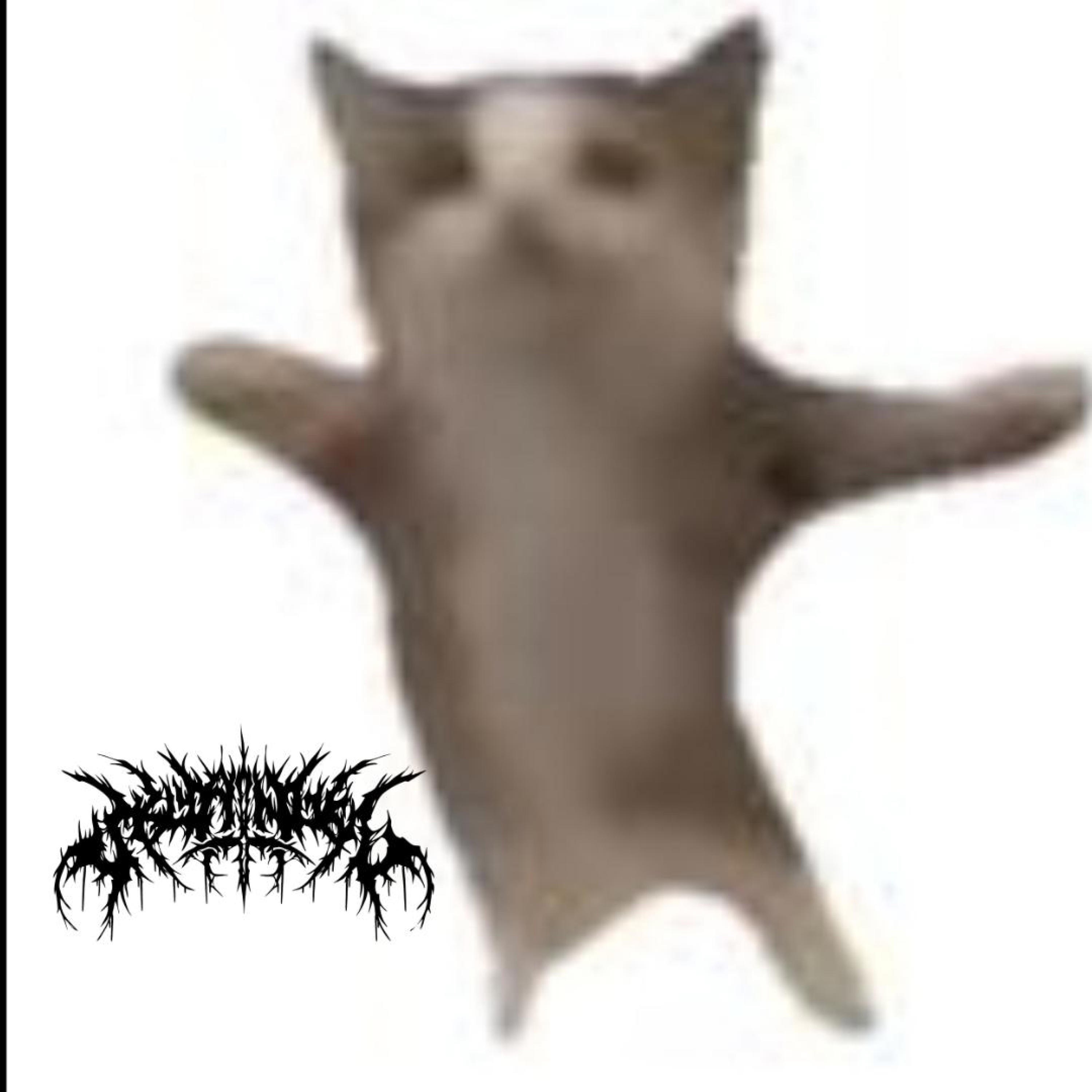 Happy? Happy? Happy? - SkyAngel_187: Song Lyrics, Music Videos