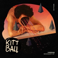 Necessary - Single - Viddsan