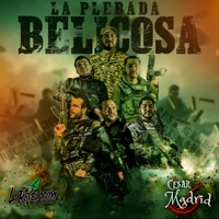 La Plebada Belicosa - Single - La Revelacion de Culiacan & cesar madrid