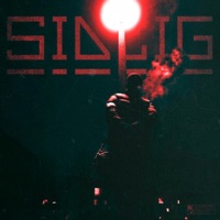 SIEDLIG - Single - 3LEVEN