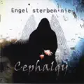 Engel sterben nie
