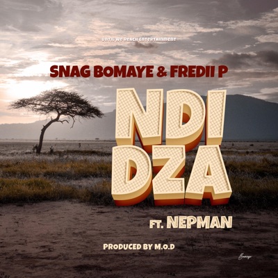 Ndidza (feat. Nepman) - Single