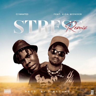 Stress (feat. Kida Wonder) [Remix] - Single