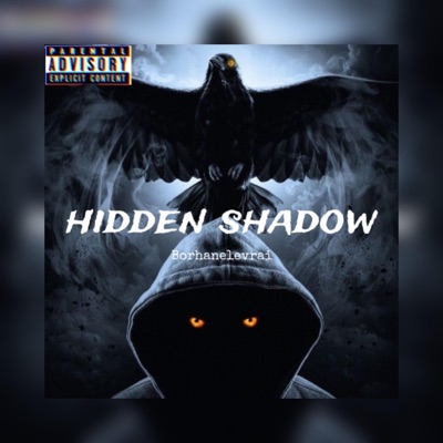 Borhanelevraitv - Hidden Shadow (DISS TRACK ocb)