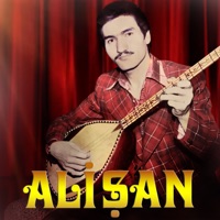 Kaynanamın Dili - Single - Alişan
