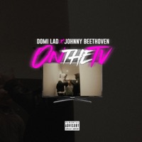 ON THE TV - Single - Domi Lad & Johnny Beethoven