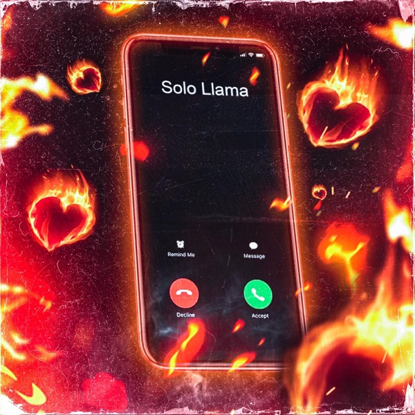 Solo Llama