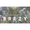 Brezy