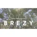 Brezy