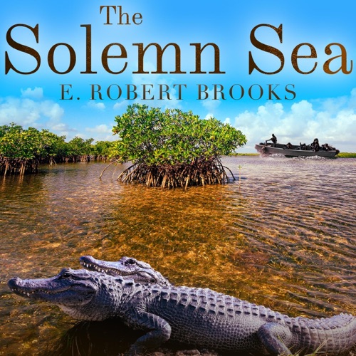 The Solemn Sea (Unabridged) cover