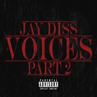 VOICES Pt. 2 - Single - Jay Diss