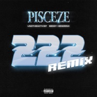222 (feat. Seddy Hendrinx & UnoTheActivist) [Remix] - Single - pisceze