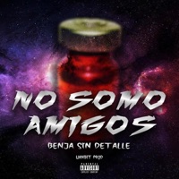 No somo amigos - Single - Benja sin detalle