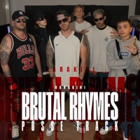 BRUTAL RHYMES POSSE TRACK (feat. Youngmillyy, Diesse, Crazy Crash, Mirror Six & Noise Joke) - Single - Harakiri