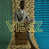 Vibez - Duddi Wallace & Fastah Selectah
