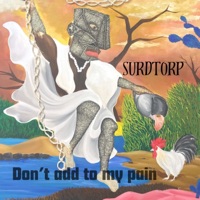 Don't Add To My Pain - Single - Surdtorp