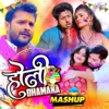 Holi Dhamaka (Mashup) - Single