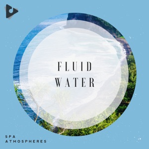 Fluid Water
