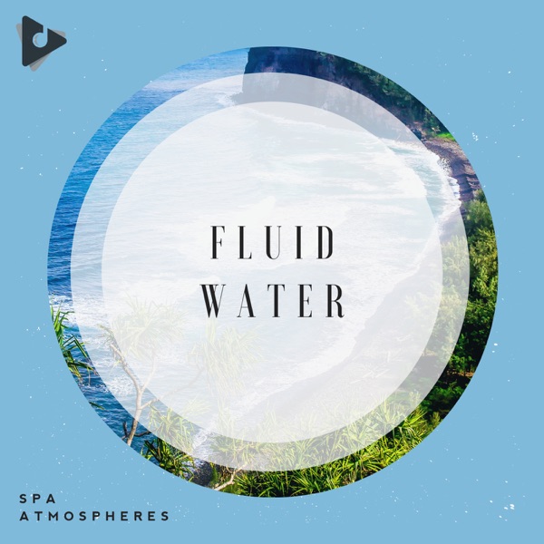 Fluid Water