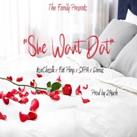 She Want Dat (feat. Fat Pimp, SVPA & Darius) [Radio Edit] - Single - ItsaClassik