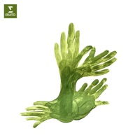 Ravel: Le jardin féérique from Ma Mère l’Oye - Single - Alexandre Tharaud & Bertrand Chamayou