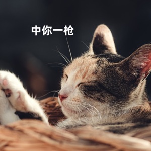 中你一枪 - EP
