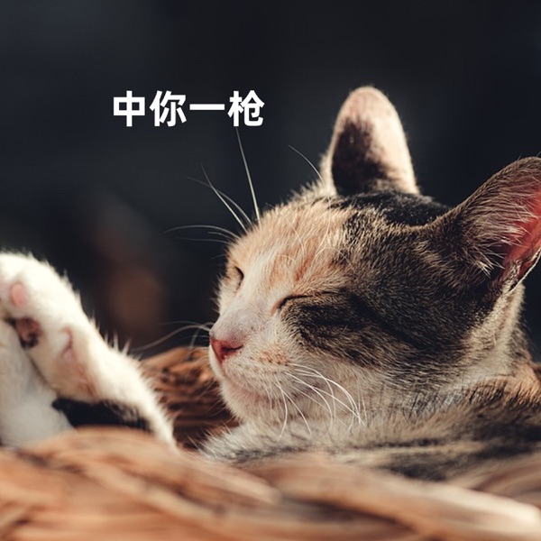 中你一枪 - EP