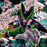 Perfect Flow - Single - Soul Tayshi