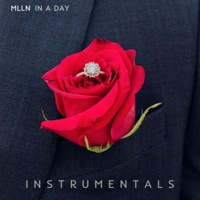 In a Day (Instrumentals) [Instrumental] - MLLN