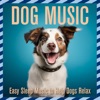 Dog Music (Easy Sleep Music to Help Dogs Relax)