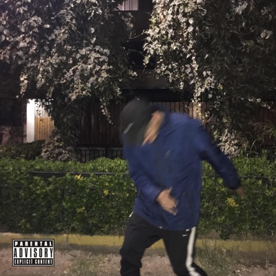 Fotos (feat. Pesso) - Single