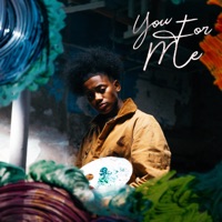 You For Me - Single - TheARTI$t