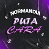 PUT4 CARA (feat. DJ DANIEL SOUZA, Mc Heliton Ag, 2k_oputo, MC SABA & Mc Lm Oficial) - Single