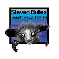 Under Disco Lights - Single - Steven Bullex
