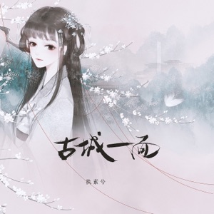 古城一面 (DJ花哨版) - Single