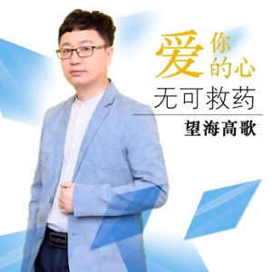 爱你的心无可救药 - Single