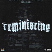 Reminiscing - Single - Sobmeech