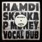 Skanka - Hamdi & P Money lyrics