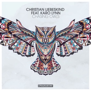 Chasing Owls - Single